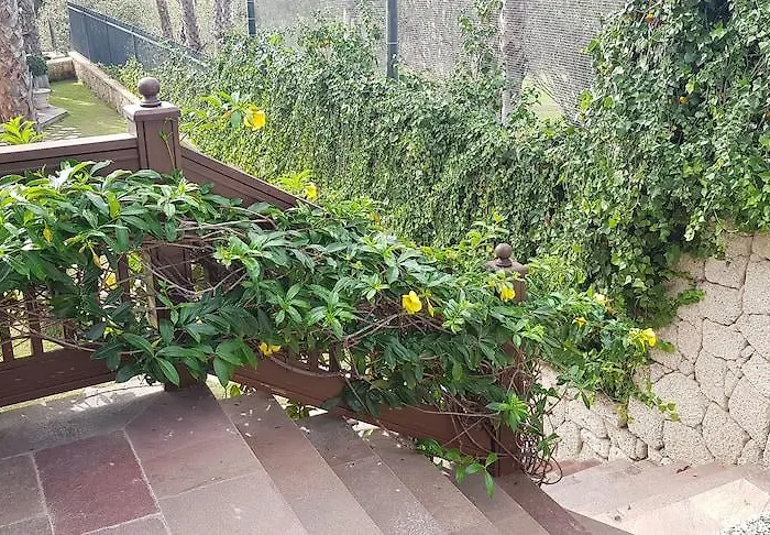 Szálloda Madrigueras Golf & - Adults Only Playa de las Américas