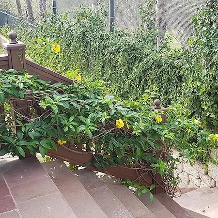 Hotel Madrigueras Golf & - Adults Only Playa de las Americas (Tenerife)